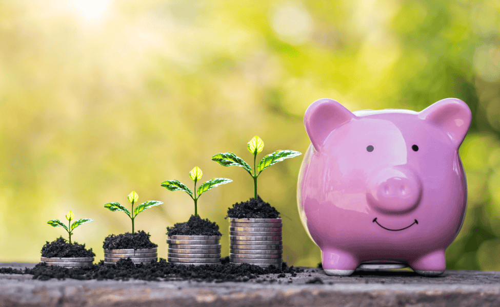 Four plants in a different stage of growth next to a pink piggy bank.